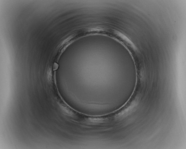 X0000115560825200911131625