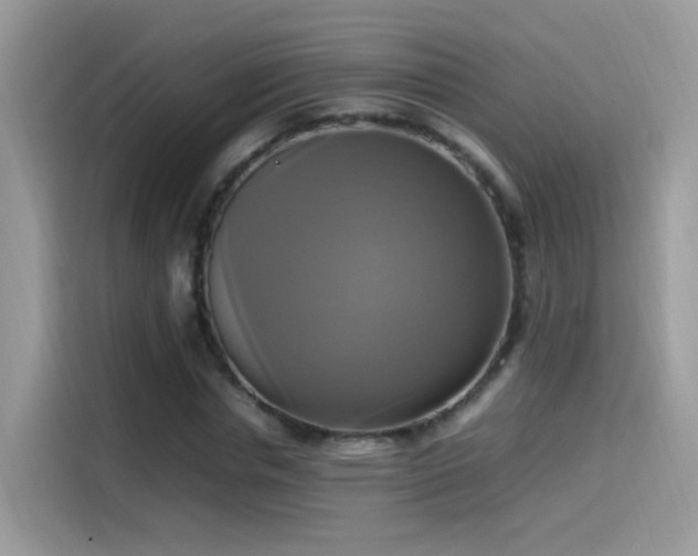 X0000115560826200911131625