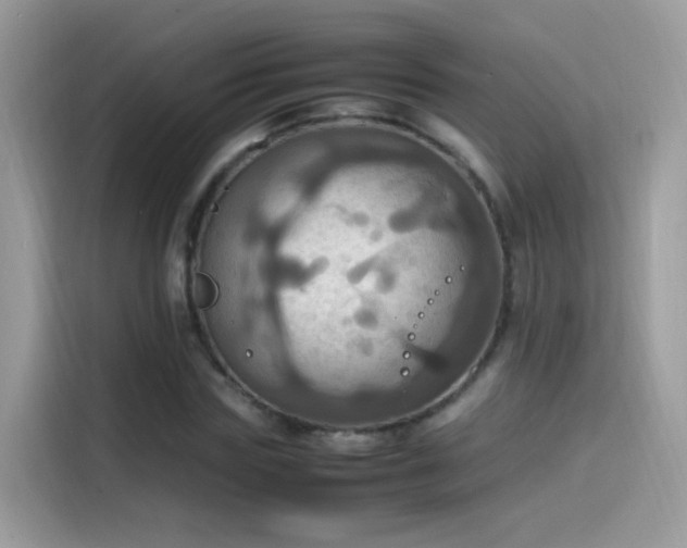 X0000115560827200911131625