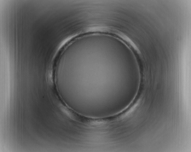 X0000115560830200911131625