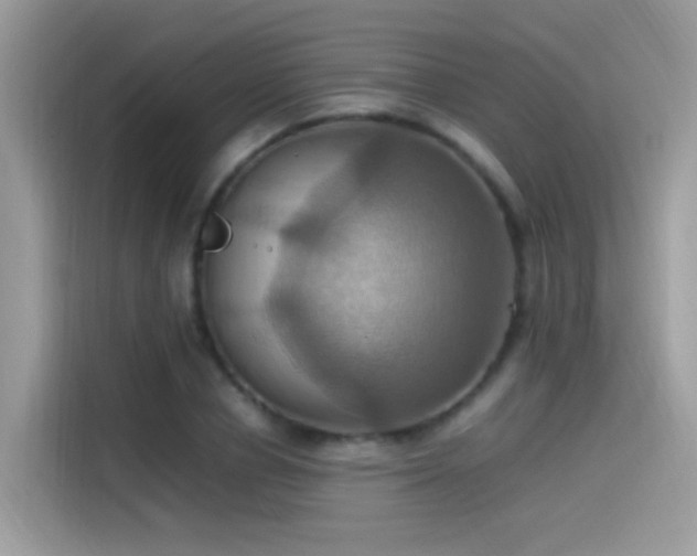 X0000115560834200911131625
