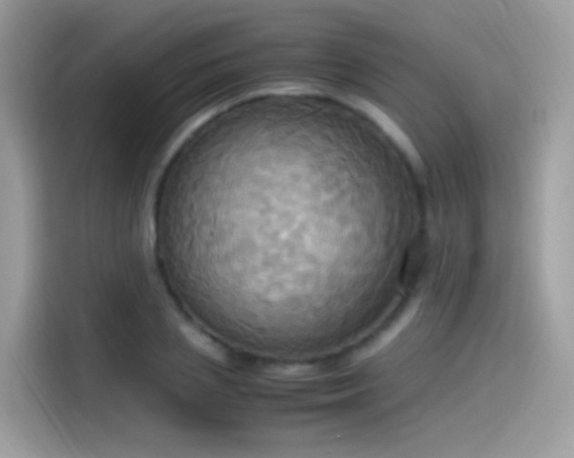 X0000115560837200911131625