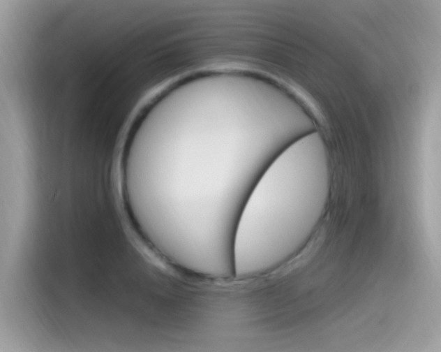 X0000115560840200911131625