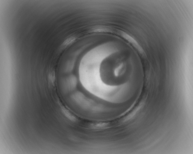 X0000115560841200911131625