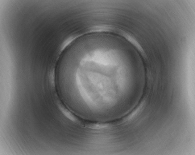 X0000115560842200911131625
