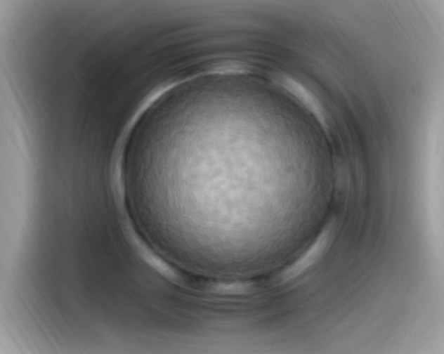 X0000115560843200911131625