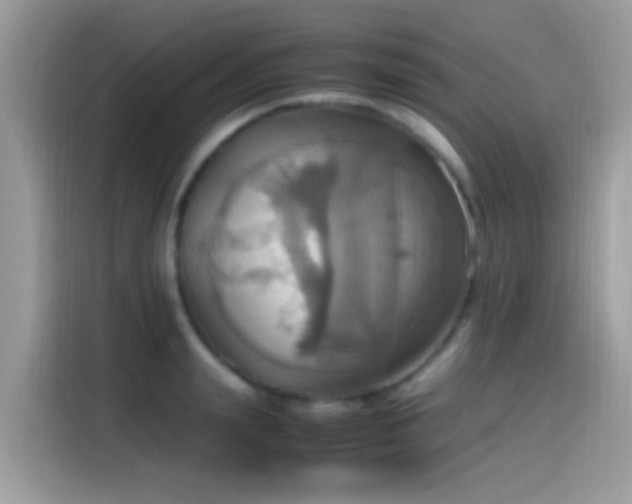 X0000115560847200911131625