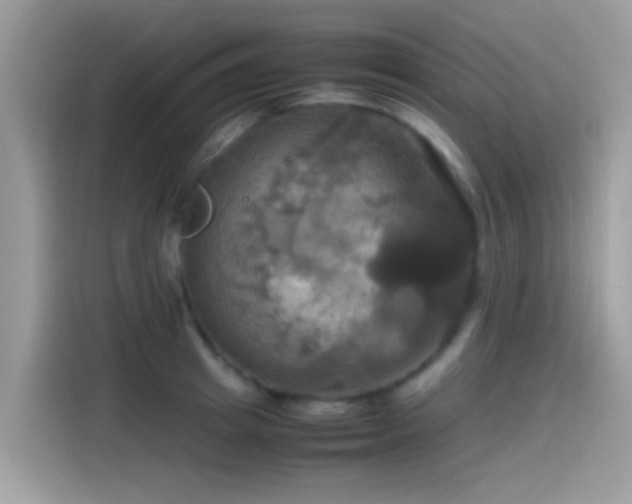 X0000115560849200911131625