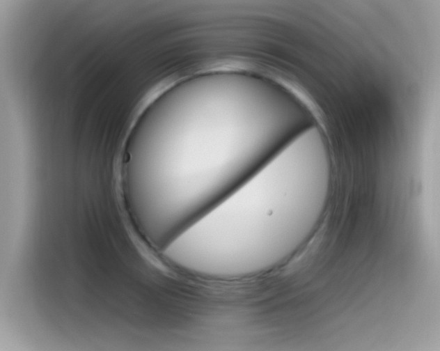 X0000115560850200911131625