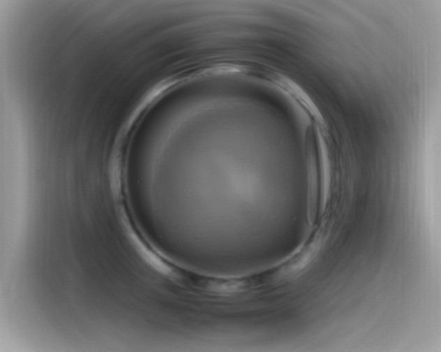 X0000115560851200911131625