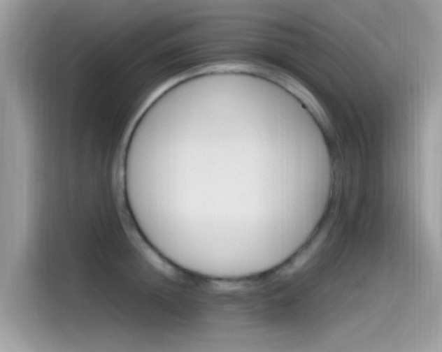 X0000115560852200911131625