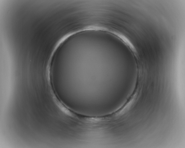 X0000115560854200911131625