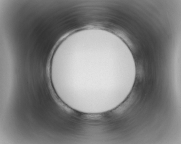 X0000115560856200911131625