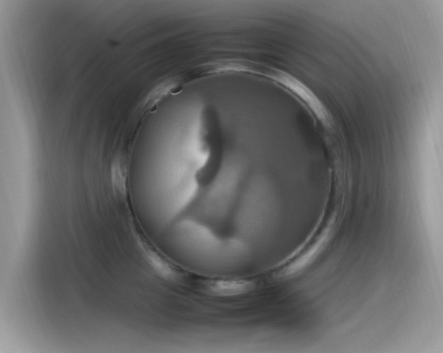 X0000115560857200911131625