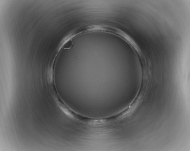 X0000115560858200911131625