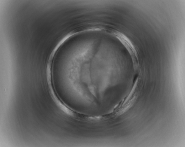 X0000115560859200911131625