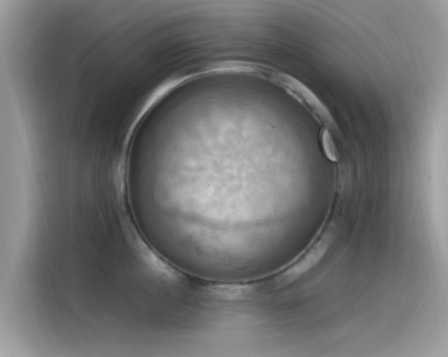 X0000115560860200911131625