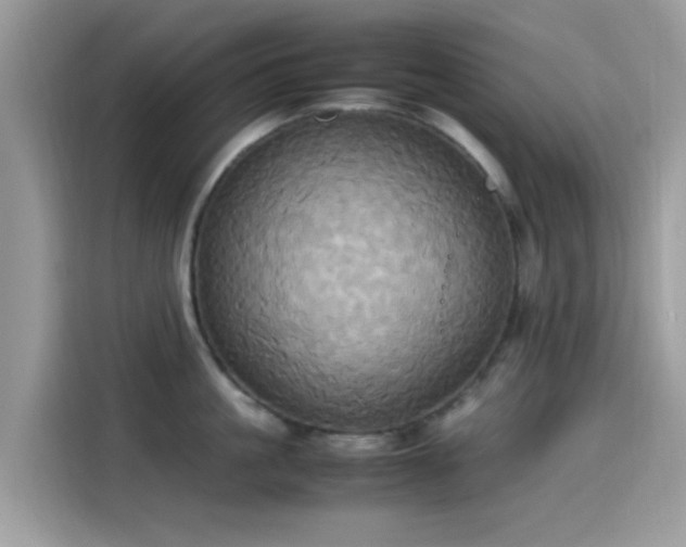 X0000115560861200911131625