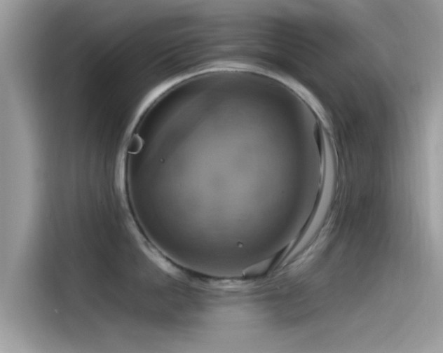 X0000115560862200911131625