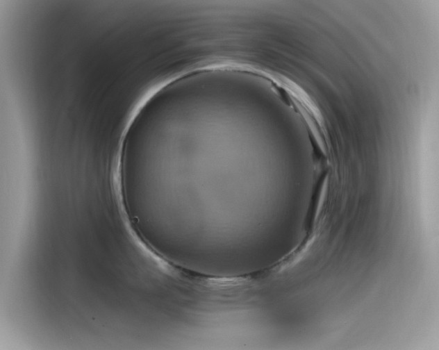 X0000115560863200911131625