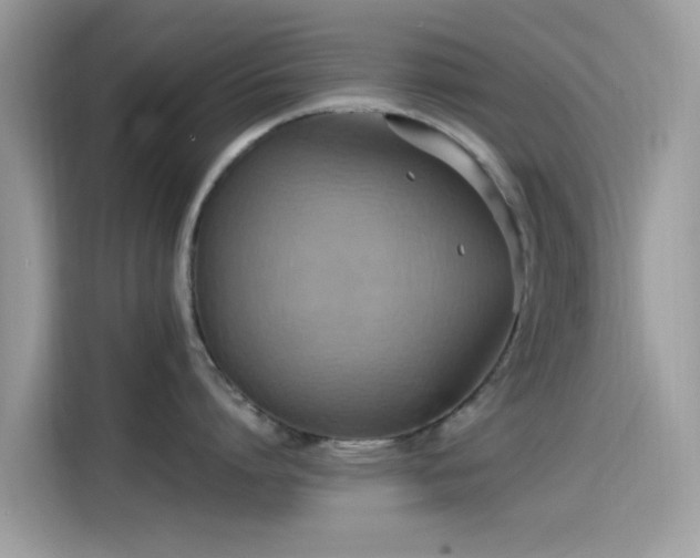 X0000115560864200911131625