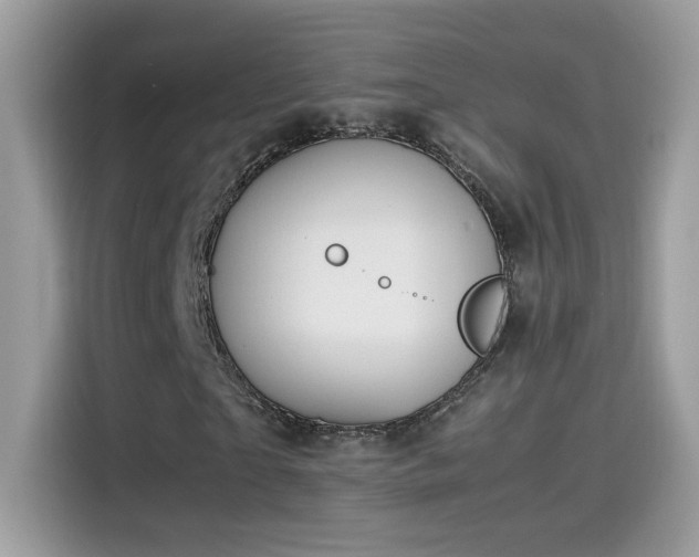 X0000115560865200911131625