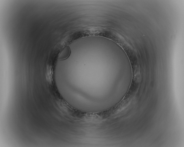 X0000115560866200911131625