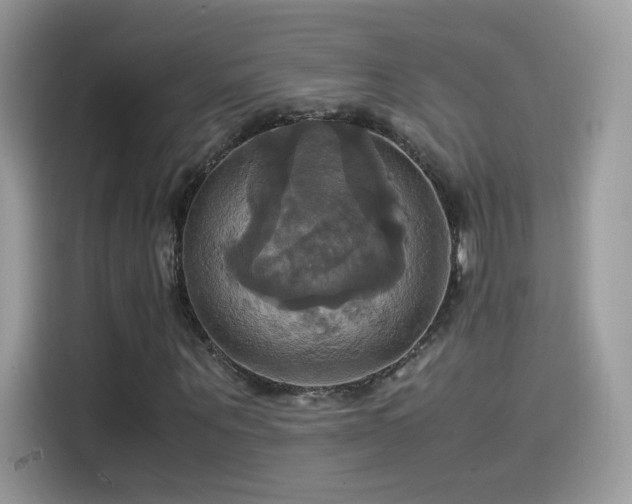 X0000115560867200911131625