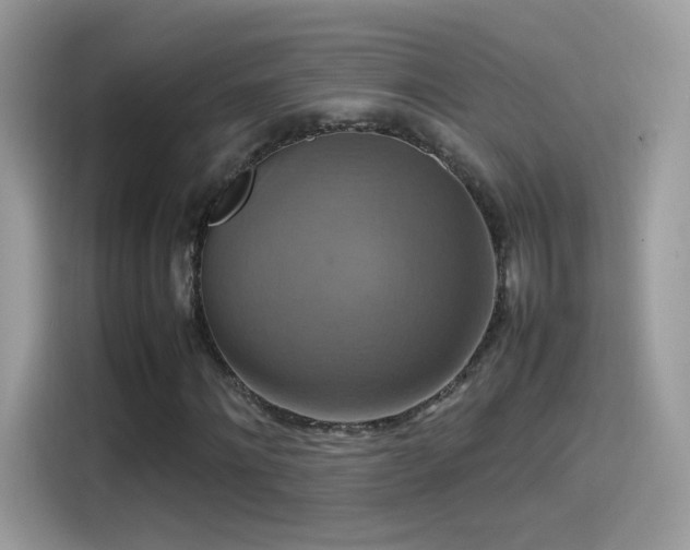 X0000115560868200911131625
