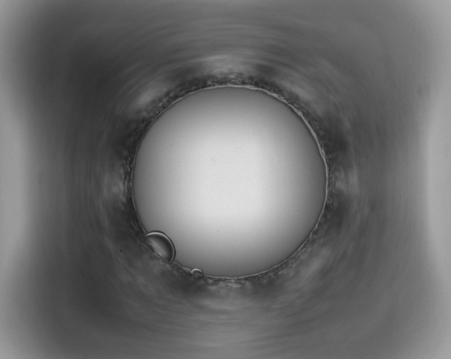 X0000115560869200911131625