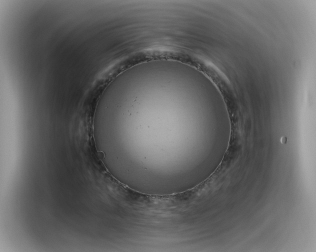 X0000115560870200911131625