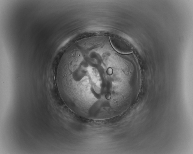 X0000115560871200911131625