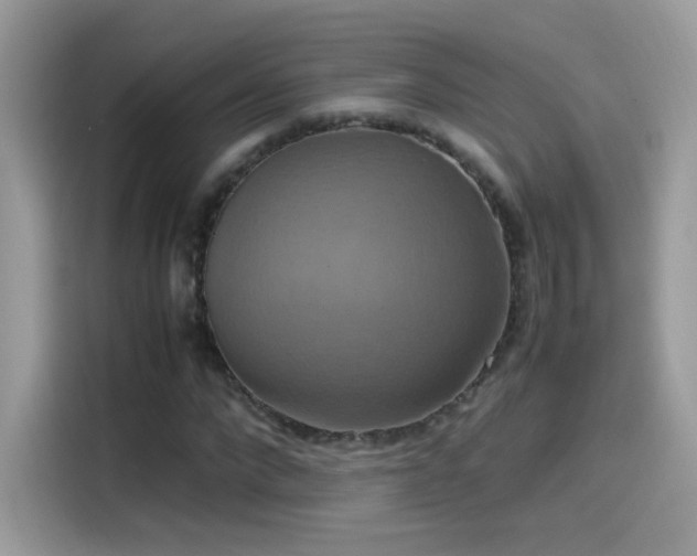 X0000115560872200911131625