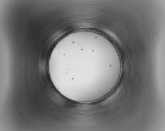 X0000115560873200911131625