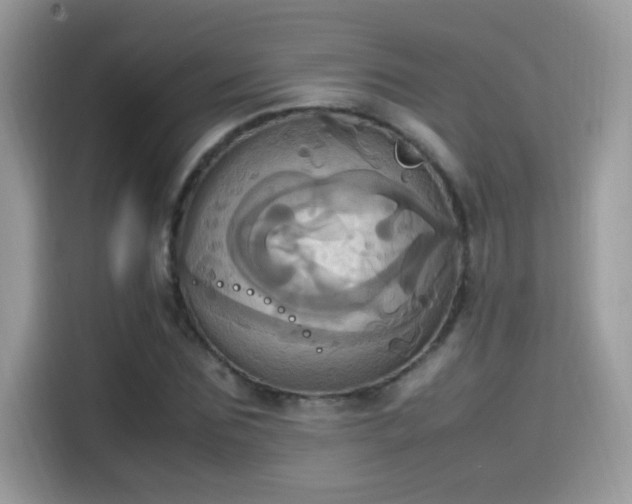 X0000115560875200911131625