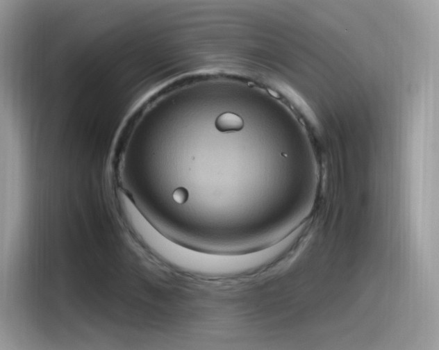 X0000115560876200911131625