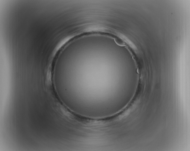 X0000115560877200911131625