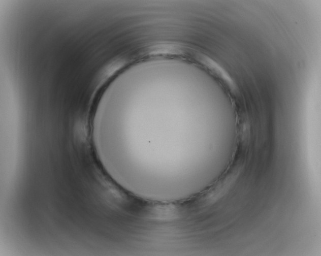 X0000115560882200911131625