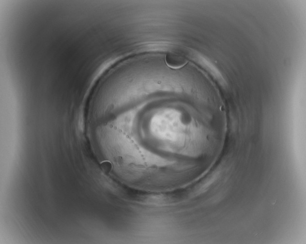 X0000115560883200911131625