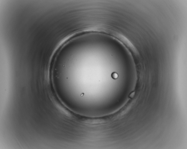 X0000115560884200911131625