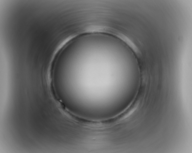 X0000115560885200911131625