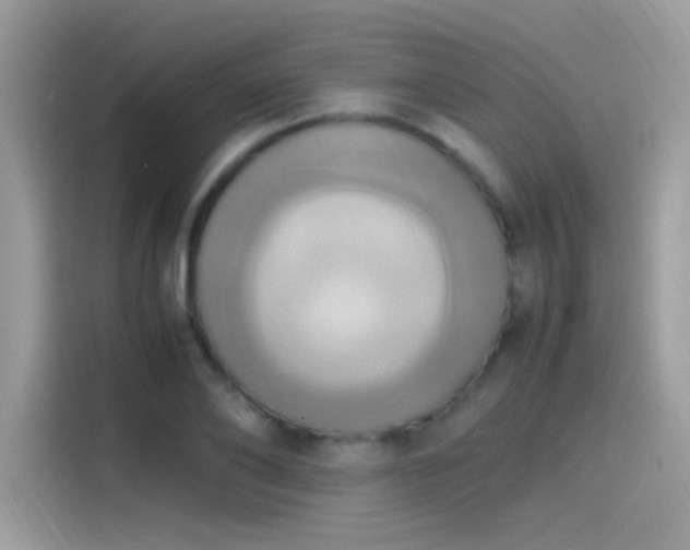 X0000115560886200911131625