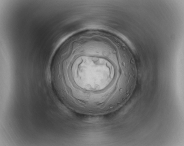 X0000115560887200911131625