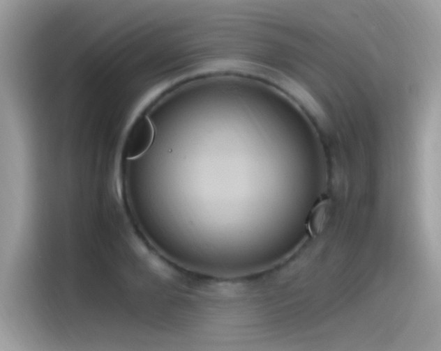X0000115560888200911131625