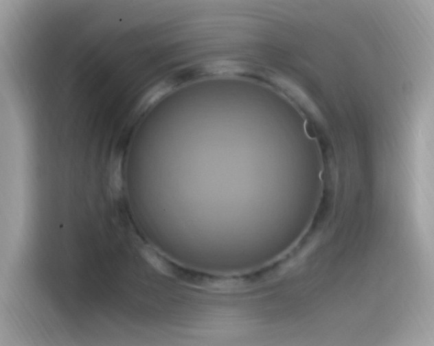 X0000115560889200911131625