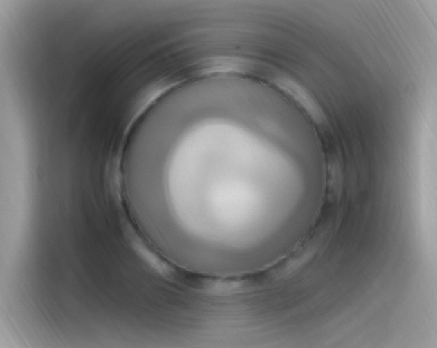 X0000115560890200911131625