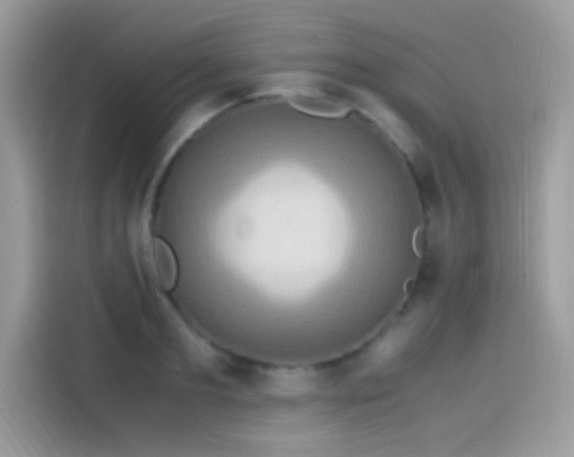 X0000115560893200911131624