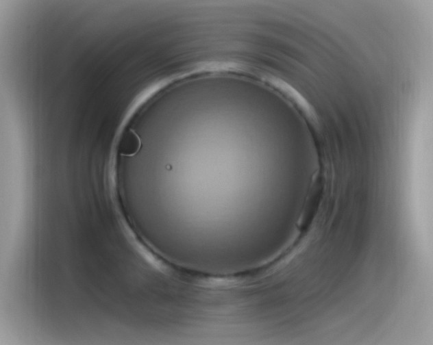 X0000115560894200911131624
