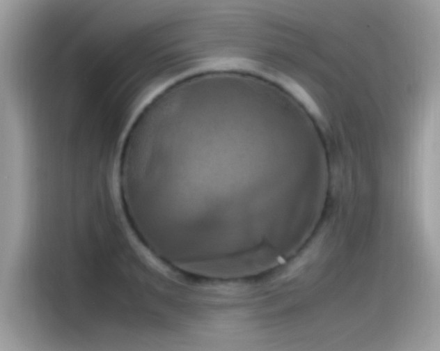 X0000115560895200911131624