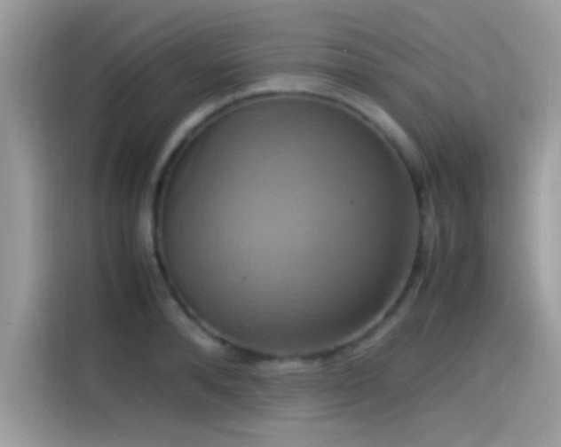X0000115560896200911131624